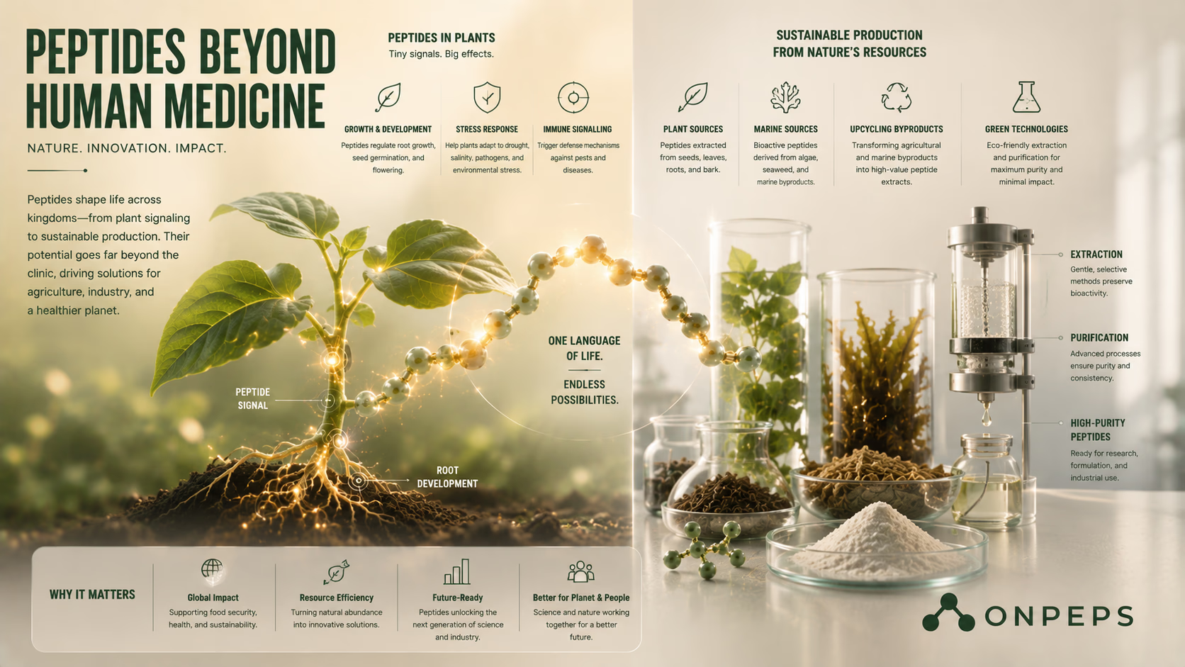 From Industrial Waste to High-Value Peptides: An Underestimated Opportunity in the Circular Economy