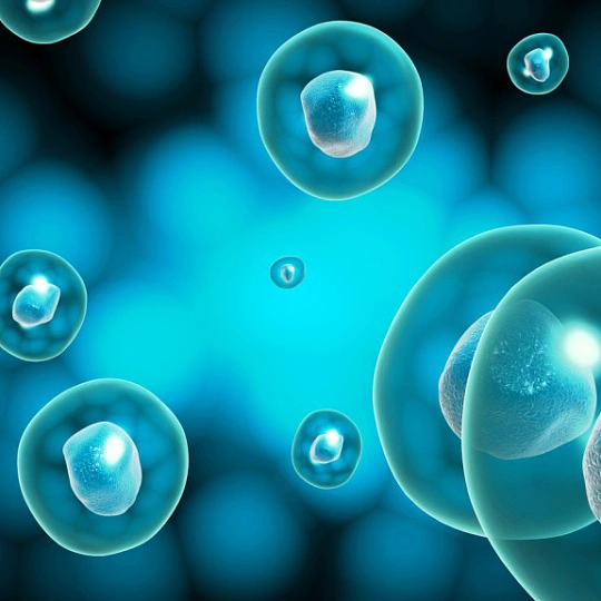 The Paradigm Peptides Timeline: What Happened from 2019 to 2026?
